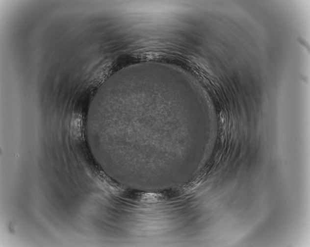 X0000096980222200802221441