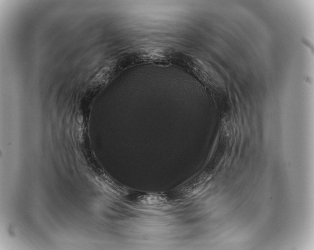 X0000096980223200802221441