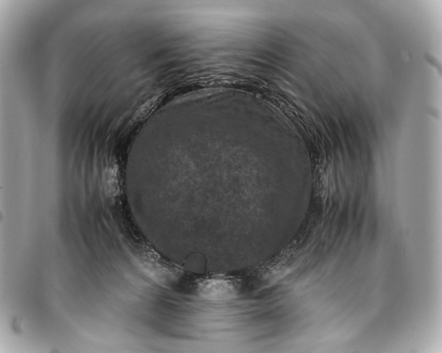 X0000096980224200802221441