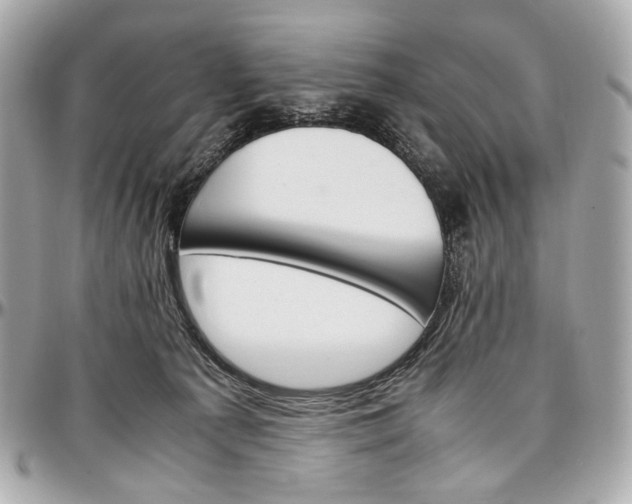 X0000096980225200802221441