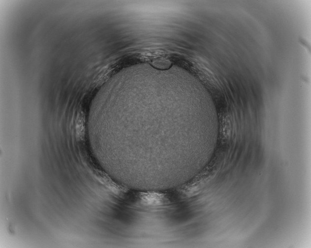 X0000096980226200802221441