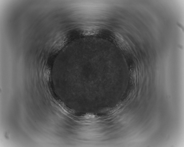 X0000096980227200802221441