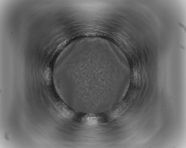 X0000096980228200802221441