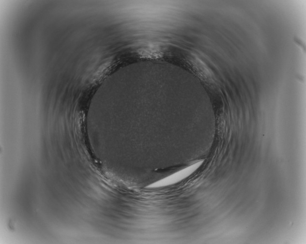 X0000096980229200802221441