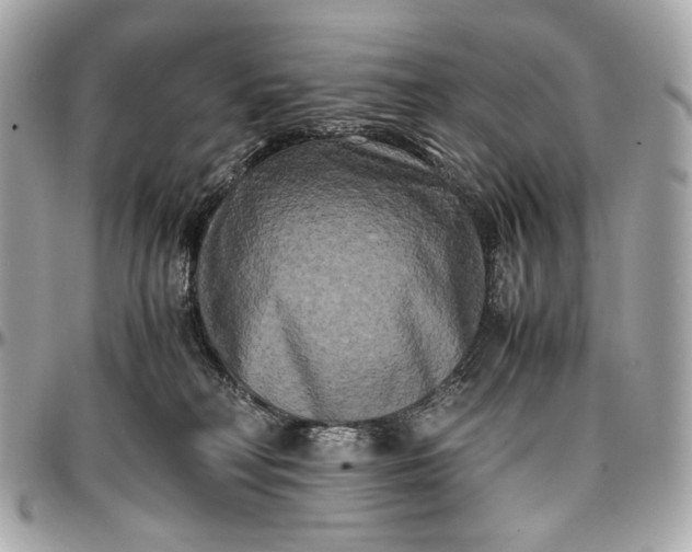 X0000096980230200802221441