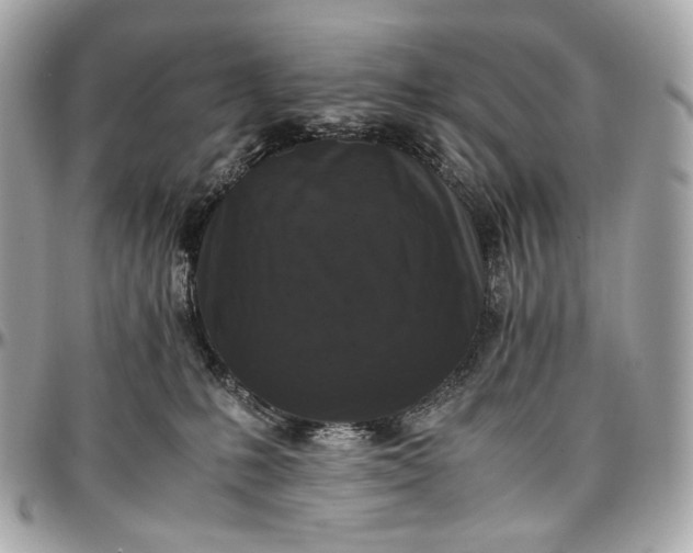 X0000096980231200802221441