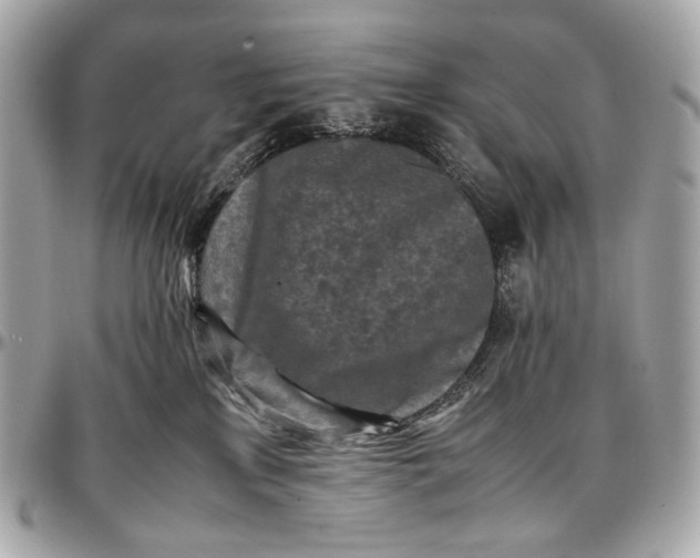 X0000096980233200802221441