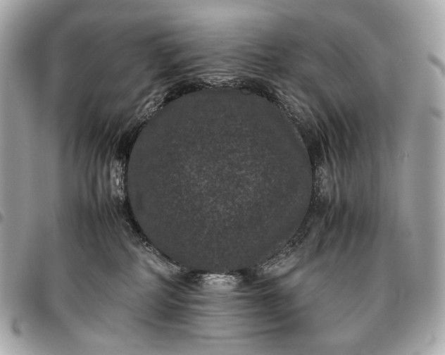 X0000096980234200802221441