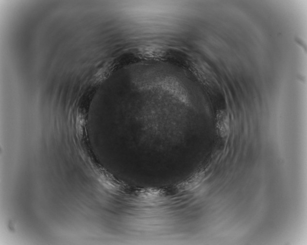 X0000096980235200802221441