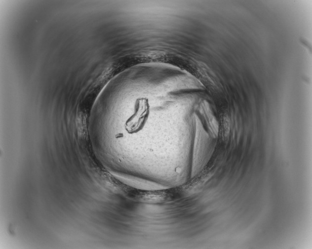 X0000096980236200802221441