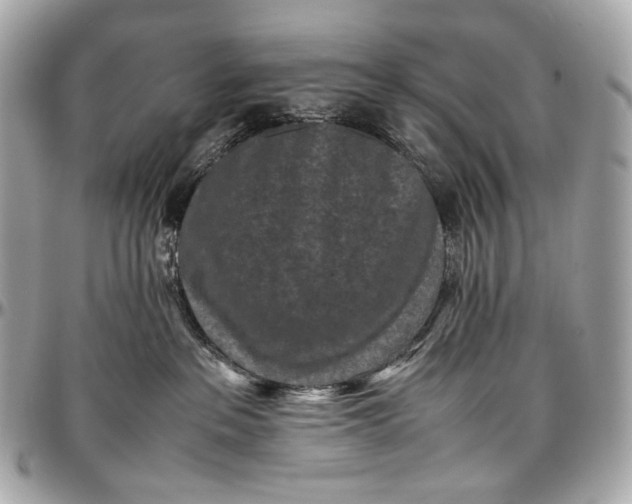 X0000096980237200802221441