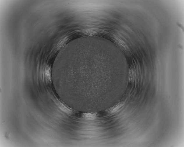 X0000096980238200802221441