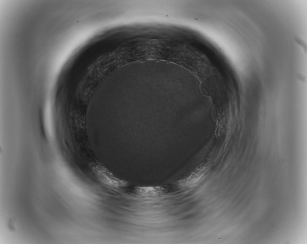 X0000096980239200802221441