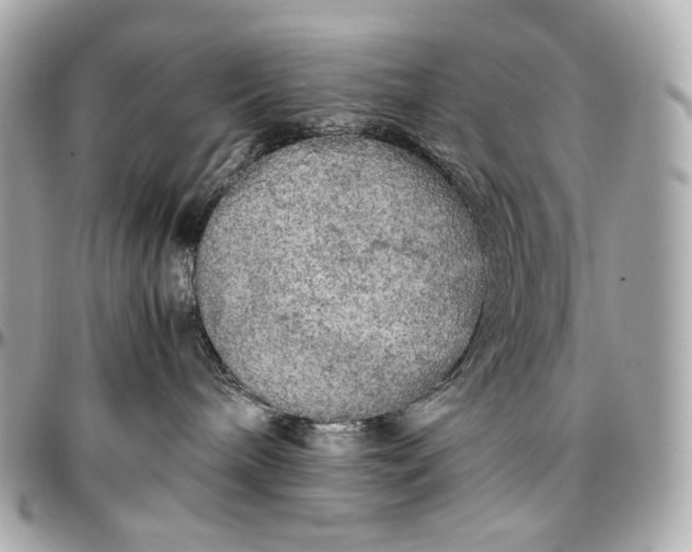 X0000096980240200802221441