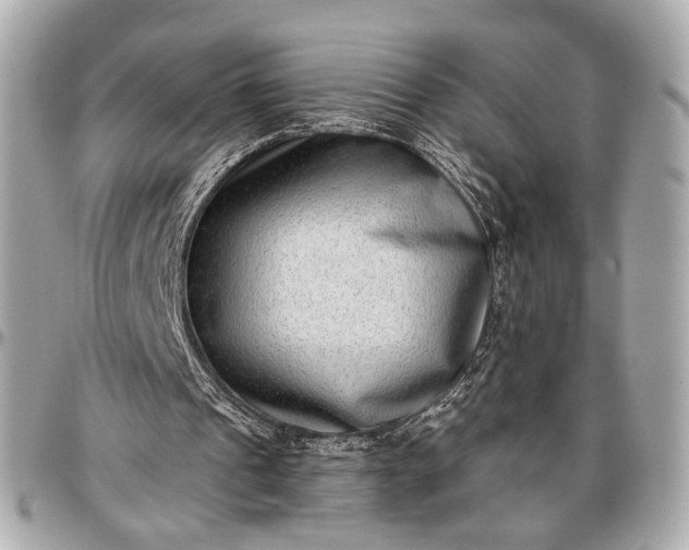 X0000096980241200802221440