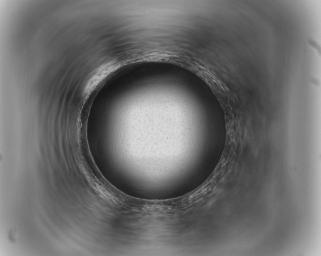 X0000096980242200802221440