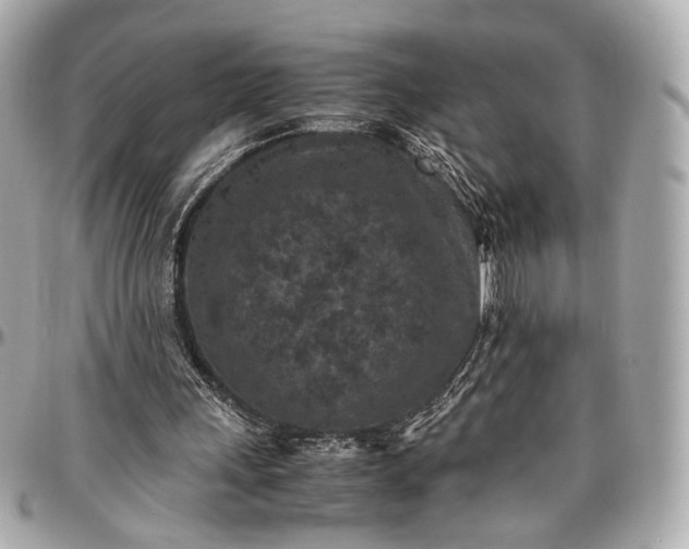 X0000096980243200802221440