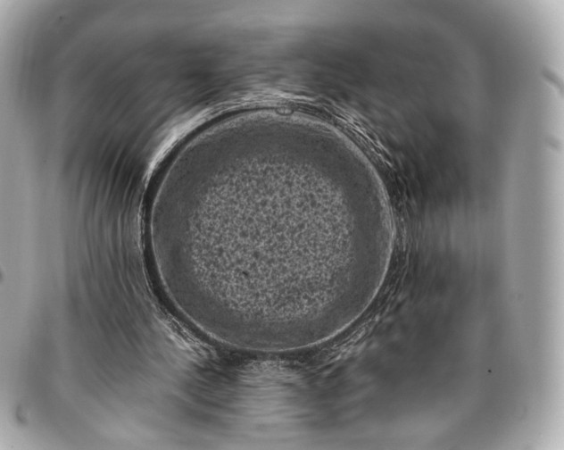 X0000096980244200802221440