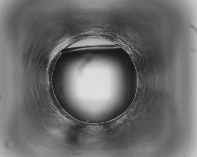 X0000096980245200802221440