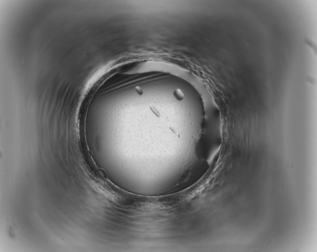 X0000096980246200802221440