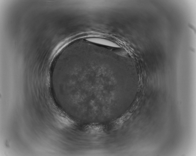 X0000096980247200802221440