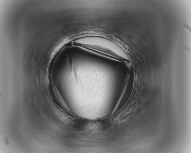 X0000096980248200802221440