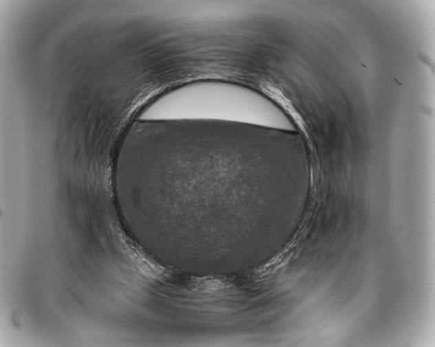 X0000096980249200802221441