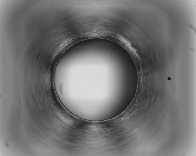 X0000096980250200802221441