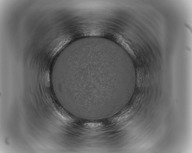 X0000096980251200802221441