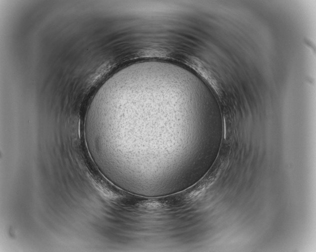 X0000096980253200802221441