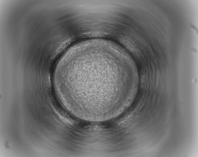 X0000096980254200802221441