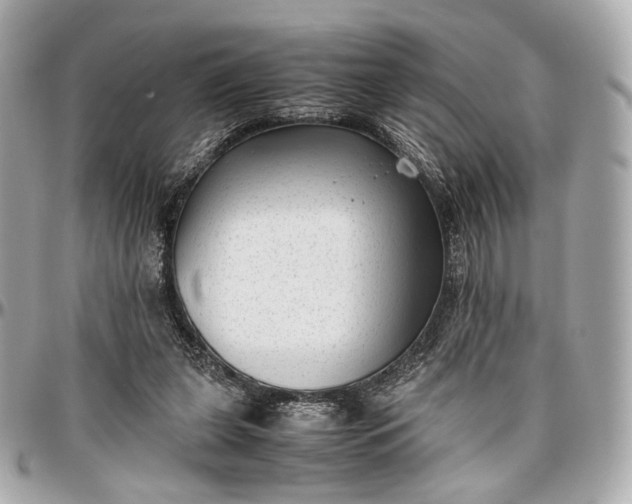 X0000096980255200802221441