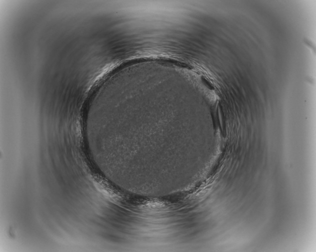 X0000096980256200802221441