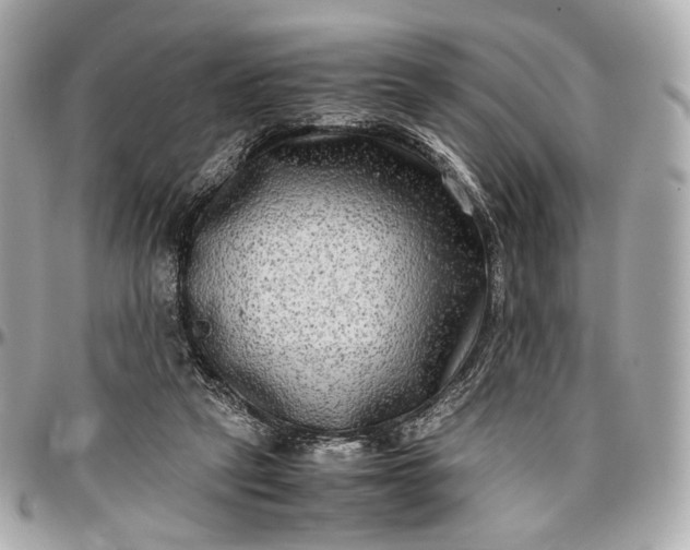 X0000096980257200802221441