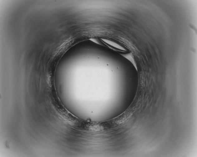 X0000096980258200802221441