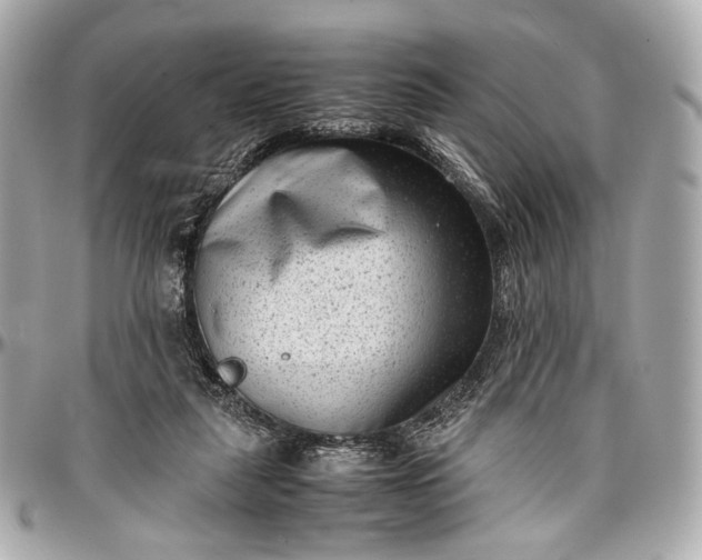 X0000096980259200802221441