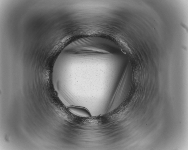 X0000096980260200802221441