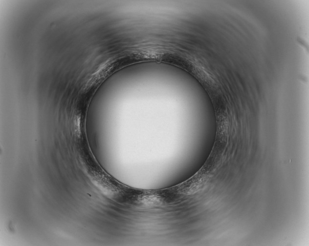 X0000096980262200802221441