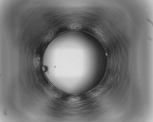 X0000096980263200802221441