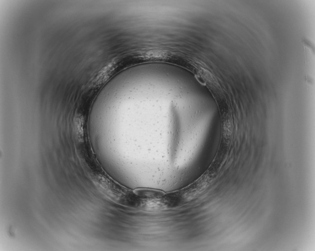 X0000096980264200802221441