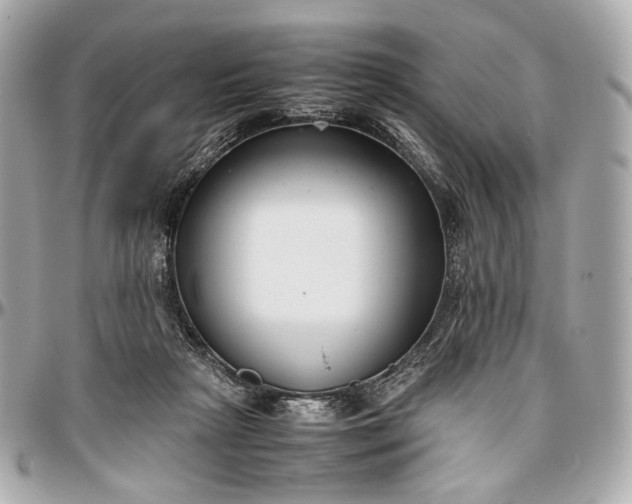 X0000096980265200802221441