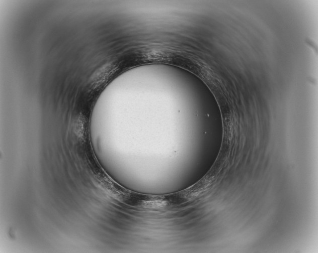 X0000096980266200802221441