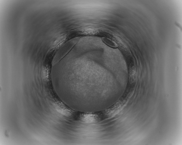 X0000096980268200802221441