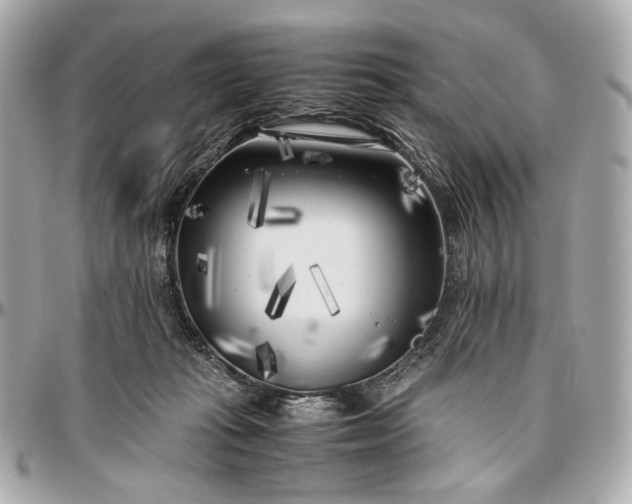 X0000096980269200802221441