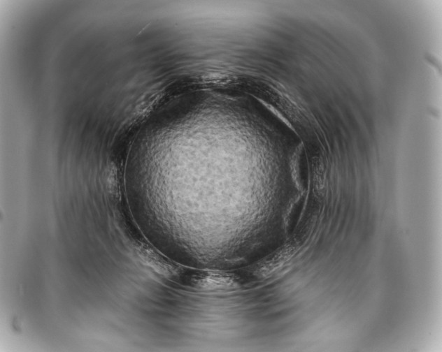 X0000096980270200802221441