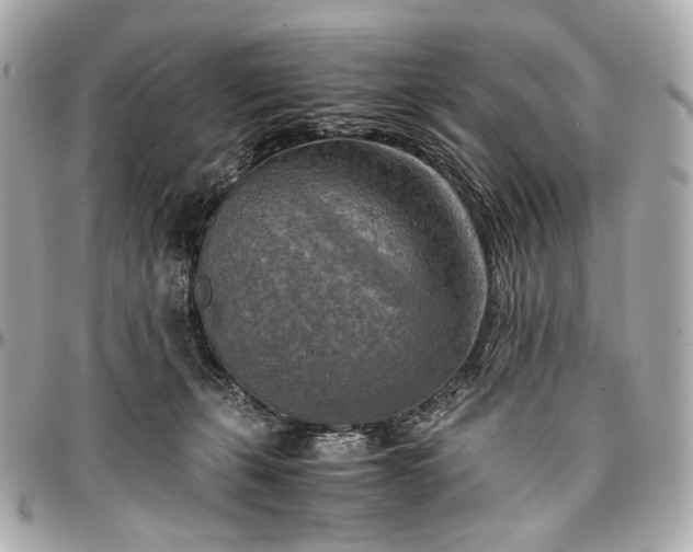 X0000096980271200802221441