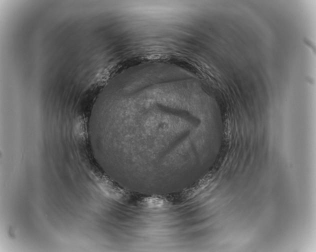 X0000096980272200802221441