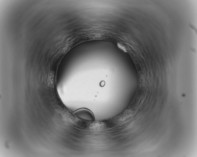 X0000096980274200802221441