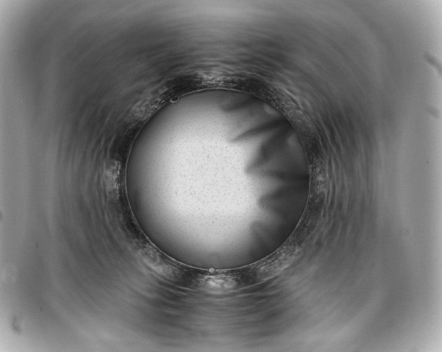 X0000096980275200802221441