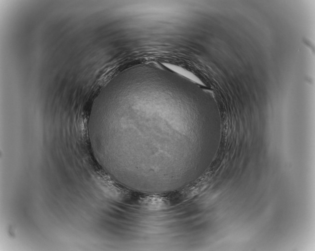 X0000096980276200802221441